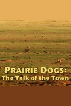 Prairie Dogs: Talk of the Town (2010) Prairie Dogs: Talk of the Town (2010)