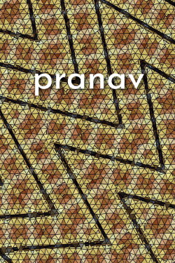 pranav (2020) pranav (2020)