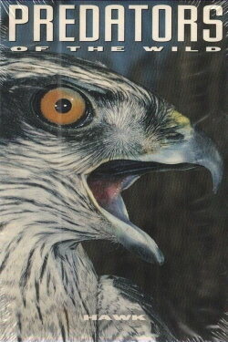 Predators of the Wild: Hawk (1993) Predators of the Wild: Hawk (1993)