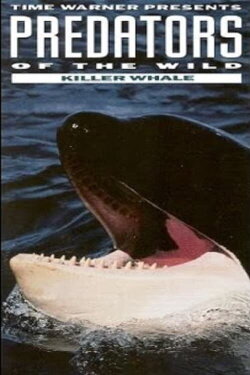 Predators of the Wild: Killer Whale (1992) Predators of the Wild: Killer Whale (1992)