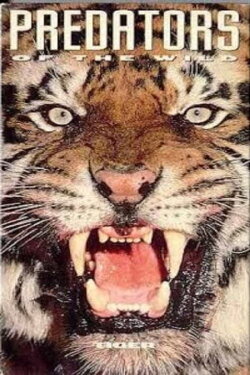 Predators of the Wild: Tiger (1993) Predators of the Wild: Tiger (1993)