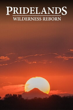 PRIDELANDS: WILDERNESS REBORN (2019) PRIDELANDS: WILDERNESS REBORN (2019)