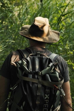 Primal Flow (2023) Primal Flow (2023)