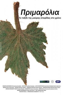 Primarolia (2020)