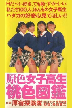 Primary Colour High School Girl Pink Picture Book (1990) Primary Colour High School Girl Pink Picture Book (1990)