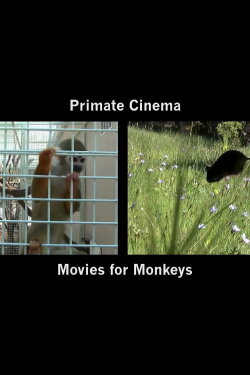 Primate Cinema: Movies for Monkeys (2014) Primate Cinema: Movies for Monkeys (2014)