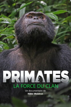 Primates: The Strength of the Clan (2020) Primates: The Strength of the Clan (2020)