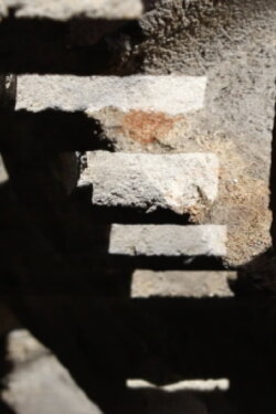 Primitive Cinema (2015)