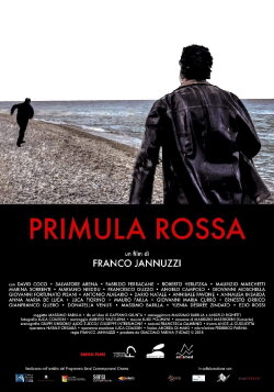 Primula Rossa (2019) Primula Rossa (2019)