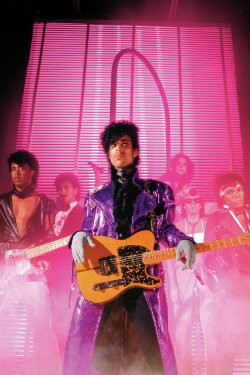 Prince: 1999 Live In Houston 12-29-82 (2019)