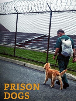 Prison Dogs (2016) Prison Dogs (2016)