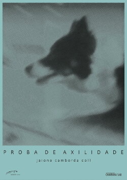 Proba de Axilidade (2015)