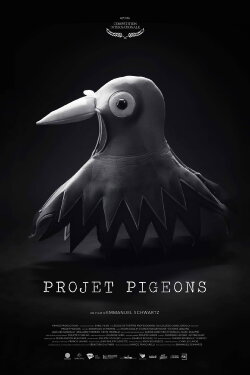 Projet Pigeons (2022)