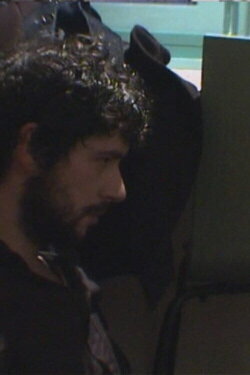 Pronobis (2003)