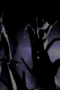 Prowler (2000) Prowler (2000)