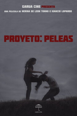 Proyecto: Peleas (2022)