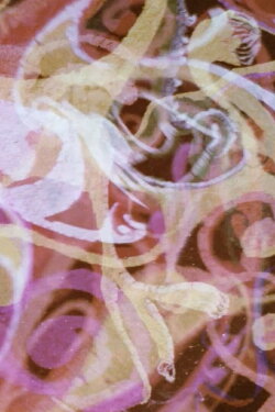 Psychedille (1968)