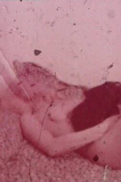 Pubic Hair Ban (2002)