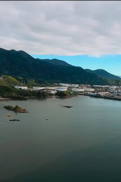Pulsante: Um filme sobre a Baía do Araçá (2019) Pulsante: Um filme sobre a Baía do Araçá (2019)