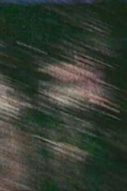 Pulsar (2023)