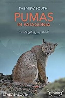 Pumas in Patagonia (2019) Pumas in Patagonia (2019)