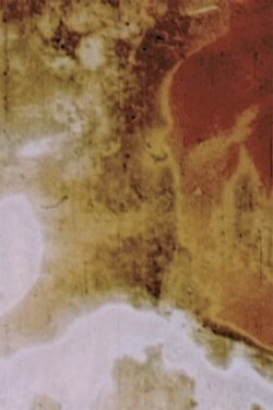 Punkin Guts (2007)