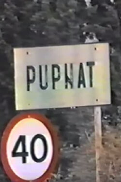 Pupnat '88 (1988)