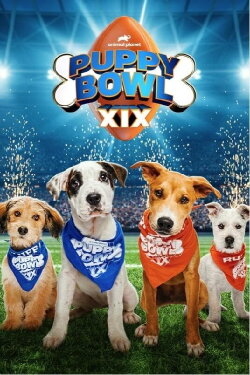 Puppy Bowl XIX (2023) Puppy Bowl XIX (2023)