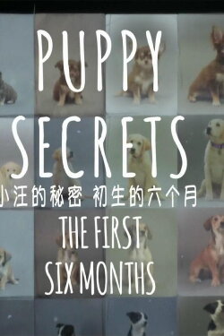 Puppy Secrets: The First Six Months (2016) Puppy Secrets: The First Six Months (2016)