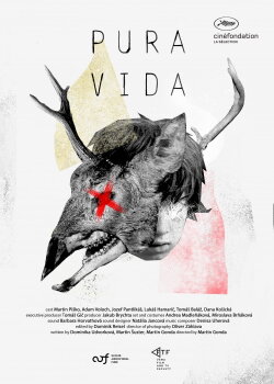 Pura Vida (2019) Pura Vida (2019)