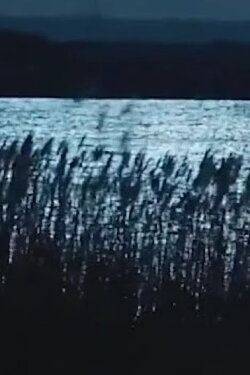 -Pursuit.Strati.Illustri.: Musica dagli Ultimi Giochi & Vocali Errate (2021) -Pursuit.Strati.Illustri.: Musica dagli Ultimi Giochi & Vocali Errate (2021)