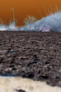 -Pursuit.UPC.: Stessa Moneta (2019) -Pursuit.UPC.: Stessa Moneta (2019)