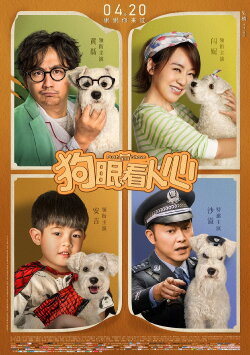 Push and Shove (2019) Push and Shove (2019)