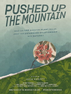 Pushed Up The Mountain (2020)