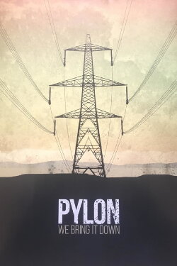 Pylon (2017) Pylon (2017)