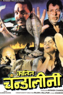 Qatil Chandalini (1998) Qatil Chandalini (1998)