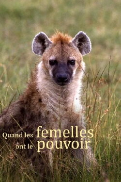 Quand les femelles ont le pouvoir (2023) Quand les femelles ont le pouvoir (2023)