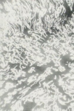 Quanta (2010) Quanta (2010)