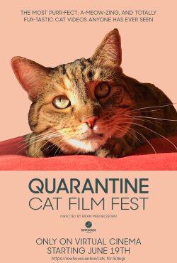 Quarantine Cat Film Festival (2020) Quarantine Cat Film Festival (2020)