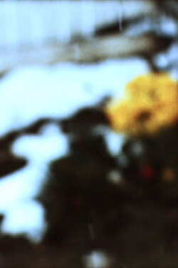Quartet (In-Camera) (2008)