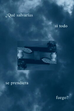 ¿Qué salvarías si todo se prendiera fuego? (2024) ¿Qué salvarías si todo se prendiera fuego? (2024)