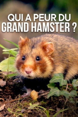 Qui a peur du grand hamster ? (2020) Qui a peur du grand hamster ? (2020)