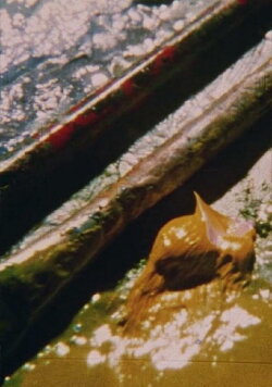 R-34 (1967)