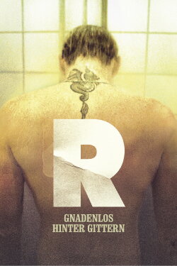 R (2010)