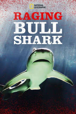 Raging Bull Shark (2020) Raging Bull Shark (2020)
