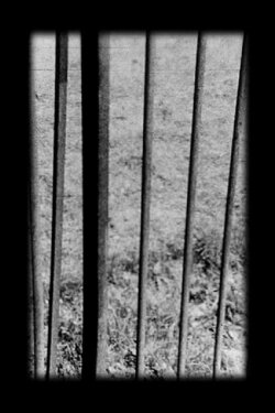 Railings (1977)