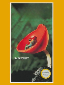 Rain Forest (1983)