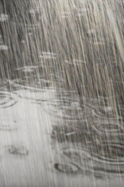 Rain: Then and Now (2019) Rain: Then and Now (2019)