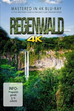 Rainforest (2017)