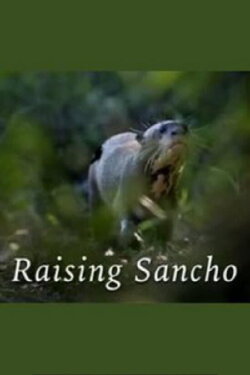 Raising Sancho (2008) Raising Sancho (2008)